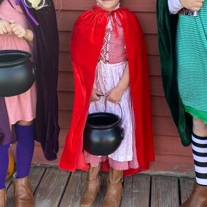 Vintage authentic Tostmann Trachten German Bavarian Lace Front Dress XS